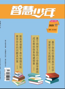 智慧少年
